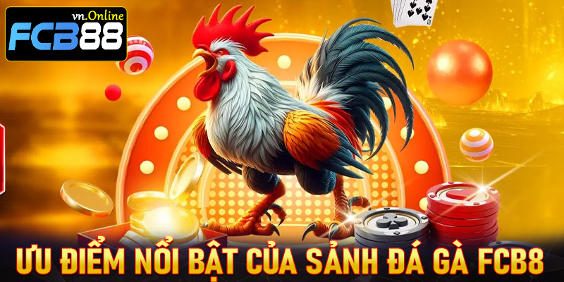 Ưu điểm nổi bật của sảnh cá cược đá gà FCB8