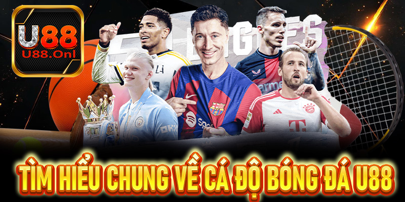 Tìm hiểu chung về cá độ bóng đá U88